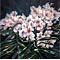 Light Pink Flowers too, watercolour paintings by Mary Ng