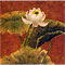 Lotus Flowers, watercolour paintings by Mary Ng