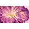 Closeup of Purple Flower, watercolour paintings by Mary Ng
