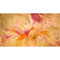 Closeup of Yellow Flower, watercolour paintings by Mary Ng
