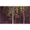 Strong Young Birch Trees, watercolour paintings by Mary Ng