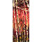 Autumn Trees - series 1-3, watercolour paintings by Mary Ng