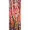 Autumn Trees - series 2-3, watercolour paintings by Mary Ng