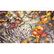 Autumn Leaves in Water, watercolour paintings by Mary Ng