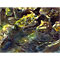 Water and Rocks, watercolour paintings by Mary Ng
